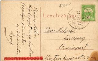 1911 Csíkszereda, Miercurea Ciuc; pályaudvar, vasútállomás / Bahnhof / railway station (fl)