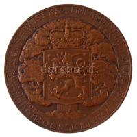 Finnország 1923. "Finnország 1917. december 6-án függetlenné vált" Br emlékérem. Szign.: W...