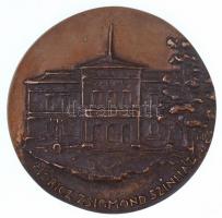 Tóth Sándor (1933-) 1981. "Móricz Zsigmond Színház / 1981. október 17." Br plakett eredeti...