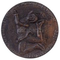 1980. "Felszabadulási Nemzetközi Műkorcsolya Verseny Székesfehérvár / Alba Regia" Br plake...