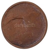 Németh Mihály (1926-) 1971. "Entzbruder telep" Br emlékplakett. Szign.: NM (106mm) T:2-