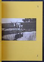 Lenkei Tibor és Chemez Bálint: Csikós, Gulyás, Puszta régi magyar képeslapokon. Kiadó: Dr. Lenkei Ti...