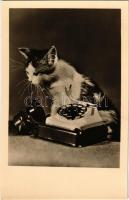 Cat with telephone. VEB Postkarten-Verlag Berlin