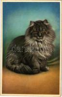 Cat. Colorprint B. 52379 B.