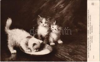 Les pattes dans le plat. Salon de lEcole Francaise 1914. / The paws in the dish, cats art postcard. A. Noyer Editeur Paris 2339. s: L. Huber
