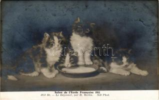 Le Déjeuner / cats. Salon dÉcole Francaise 1911. ND Phot. 4951. s: D. Merlin