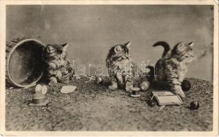 1906 Cats. Davidson Bros. Pictorial Postcards Our Pets Series No. 6056. (EK)