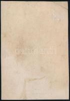 cca 1900 Férfi akt műteremben, fotó, felületén törésnyomokkal, 13×9 cm