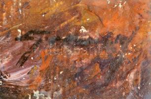 Azonosítatlan jelzéssel: Tanya, kacsákkal. Olaj, vászon. 37x52 cm. Jelzett, kopásokkal. Üvegezett ke...