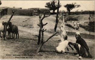 Boucherie Modéle / sheep skinning, African folklore