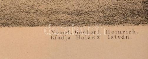 Kossuth Lajos imája a kápolnai elesettek felett 1849. évi Február 27 napján. Dekoratív, részben szín...