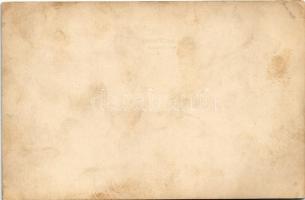 Gödöllő, Királyi kastély narancsháza (non PC) (fl)