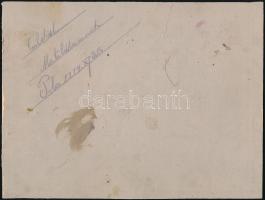 1914 Pola, K. u. k. Matrosenkorps Rekrutenschule II. csoportkép, kartonra kasírozva, felületén törés...