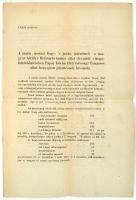 1858 A Márianosztrai Fegy- és Javítóintézet magyar királyi Helytartótanács által elrendelt vizsgálatának Pápay István által benyújtott jelentésének kivonata, 4p