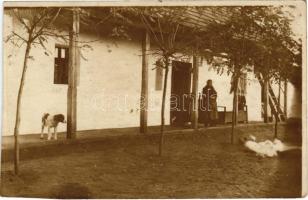 1916 Szerencs (?), utca, ház, kutya. photo (Rb)