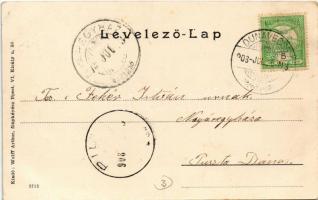 1903 Dunavecse, hajóállomás. Wolff Arthur fényképész