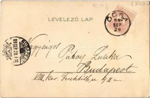 1899 Magyar tiszt a bálban / Hungarian military officer at the ball. Lady-heads and hearts. Kosmos 1...