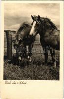 1937 Nach der Arbeit / horses after work. Original-Fotografi No. 8783/3.