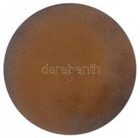 ~1940. "A Magyar Pénzügyminisztérium Tiszteletdíja" Br emlékplakett szignó nélkül (Reményi...