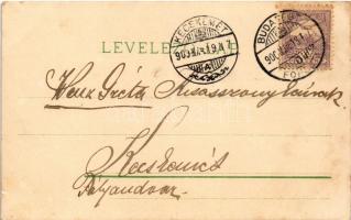 1900 Húsvéti üdvözlet / Easter greeting card, chicken catching butterfly, litho (apró szakadás / tin...