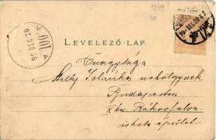 1899 Boldog Karácsonyi Ünnepeket / Christmas greeting card. No. 5186. litho (EK)