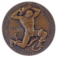 Reményi József (1887-1977) 1918. "Semmelweis Ignácz Fülöp 1818-1865 / FELIX QUI POTUIT RERUM CO...