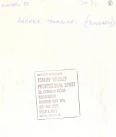 Temesvári Andrea (1966-) teniszező, sajtófotó, 24,5×19,5 cm