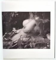 Frey-Nagy Maryanna-Makray-Rózsás Árpád: Vénusz hangja. Képes-verses album. Vizuális történetek. Benn...