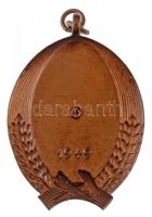 1950. "Magyar Munka Érdemérem" kitüntetés, hátlapján "1949" évszámmal, mellszala...