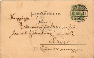 1902 Veszprém, Vármegyeház. Pósa Endre kiadása