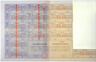 Budapest 1926. "Magyar Általános Bank Részvénytársaság" névre szóló részvénye 10P-ről, víz...