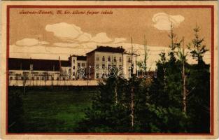 1915 Szatmárnémeti, Satu Mare; M. kir. állami faipar iskola. Reizer János kiadása / forestry school