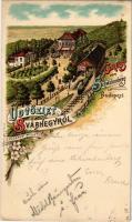 1899 Budapest XII. Svábhegy, Fogaskerekű vasút végállomása, szálloda, Szakál László üzlete. Kellner & Mohlrüder Art Nouveau, floral, litho