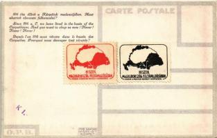 Le Millenaire de la Hongrie. 896 óta élünk a Kárpátok medencéjében. Most akartok elevenen felkoncoln...