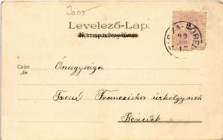 1899 Szántás, magyar folklór / Arbeit am Felde / Hungarian folklore, ploughing. Kunstanstalt Kosmos ...