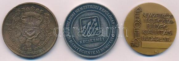 Nagy Lajos (1949-) 1987. "MÉE Szabolcs-Szatmár megyei szervezet / V. Ferdinánd - 150 éves Nyíre...