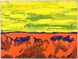 Czibor Ildikó (1969- ): Horizont. Olaj, farost, jelzett, 30×40 cm