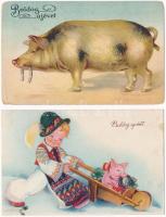 8 db RÉGI motívum képeslap: újévi üdvözlő malaccal / 8 pre-1945 greeting motive postcards: pigs