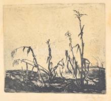 Szőnyi István (1894-1960): Kukoricás. Rézkarc, papír, jelzett, üvegezett keretben, kissé foltos, 19×23 cm