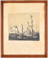 Szőnyi István (1894-1960): Kukoricás. Rézkarc, papír, jelzett, üvegezett keretben, kissé foltos, 19×...