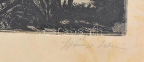 Szőnyi István (1894-1960): Kukoricás. Rézkarc, papír, jelzett, üvegezett keretben, kissé foltos, 19×...