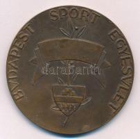 Antal Károly (1909-) DN Budapest Sport Egyesület Br díjérem (59mm) T:2 kis ph.