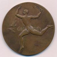 Antal Károly (1909-) DN "Budapest Sport Egyesület" Br díjérem (59mm) T:2 kis ph