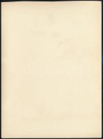 cca 1932 Kinszki Imre (1901-1945) budapesti fotóművész hagyatékából, jelzés nélküli vintage fotó (Lá...