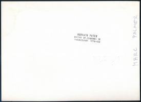 cca 1987 Mark Palmer (1941-2013) budapesti amerikai nagykövet (1986-1990), Horváth Péter fotóriporte...