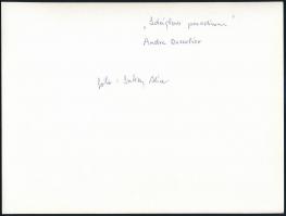 cca 1980 Inkey Alice filmfotós feliratozott felvétele, az Ideiglenes paradicsom c. film forgatásán, ...