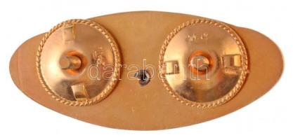 1980. "A Magyar Népköztársaság Űrhajósa" aranyozott, műgyantás jelvény (26x60mm) T:1