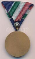 1970. "Árvízvédelemért Érem" Br kitüntetés mellszalagon T:1-
NMK 663