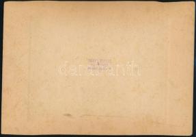 ca 1923 Szombathely, Trinkl Mátyás fényképész pecsétjével jelzett, vintage fotó, 12x15,3 cm, karton ...
