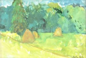 Balla jelzéssel: Zöldellő táj. Akvarell, papír. Üvegezett, kissé sérült keretben. 24×34 cm
